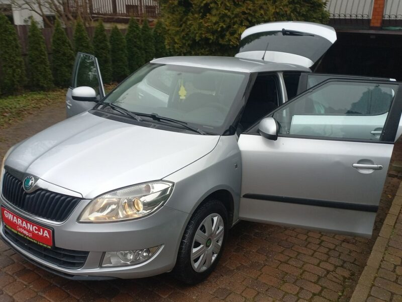 Škoda Fabia Instalacja Gazowa BRC 1.4 85KM Salon PL II (2007-2014)
