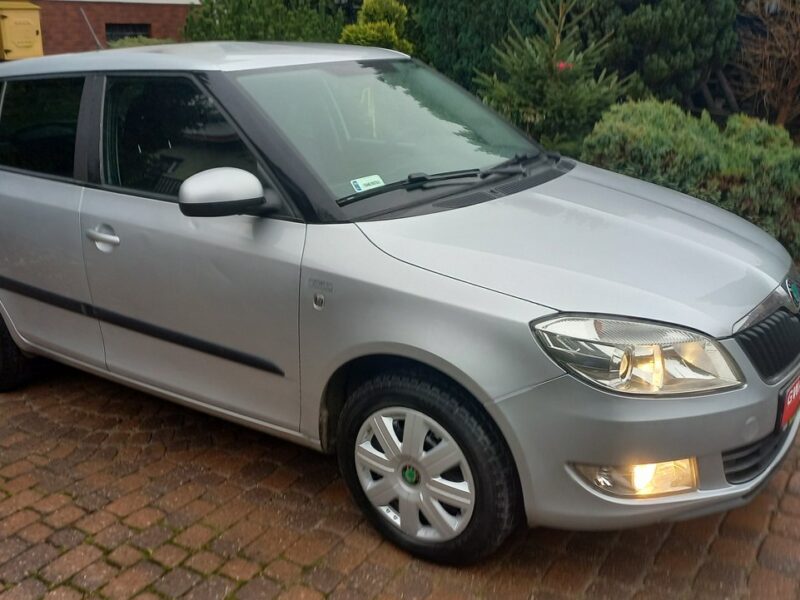 Škoda Fabia Instalacja Gazowa BRC 1.4 85KM Salon PL II (2007-2014)