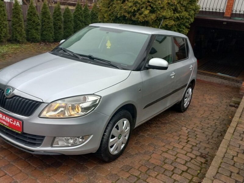 Škoda Fabia Instalacja Gazowa BRC 1.4 85KM Salon PL II (2007-2014)