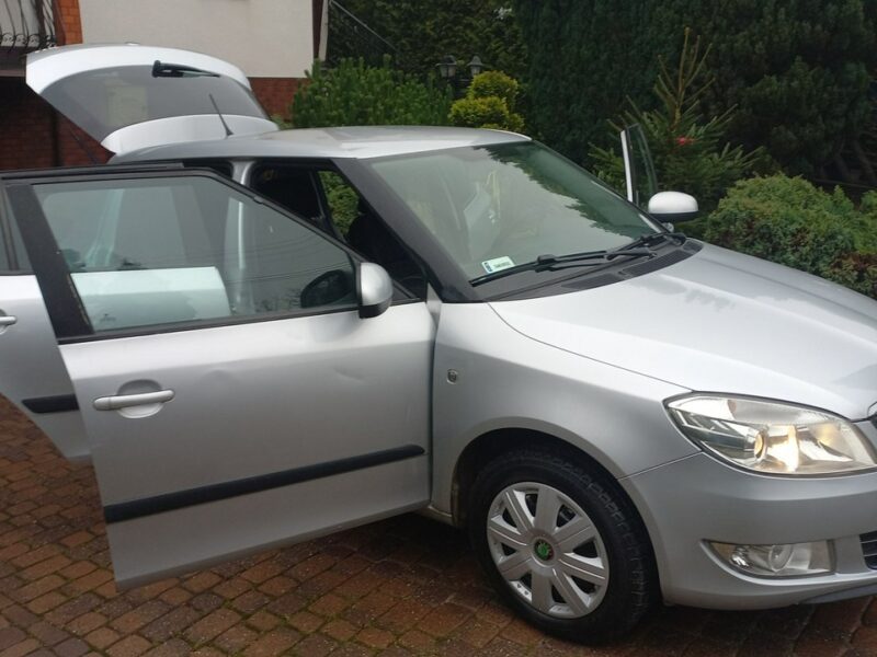 Škoda Fabia Instalacja Gazowa BRC 1.4 85KM Salon PL II (2007-2014)