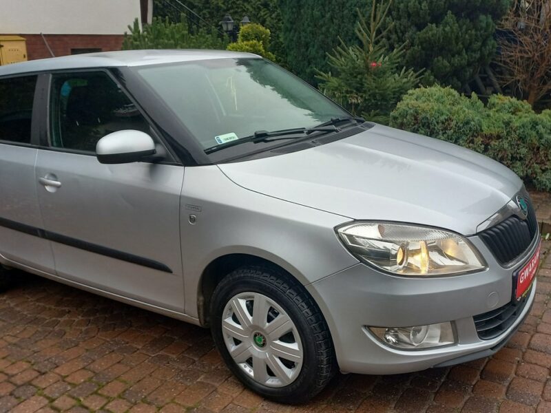 Škoda Fabia Instalacja Gazowa BRC 1.4 85KM Salon PL II (2007-2014)