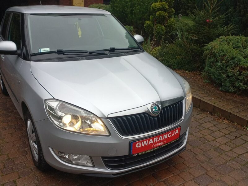 Škoda Fabia Instalacja Gazowa BRC 1.4 85KM Salon PL II (2007-2014)