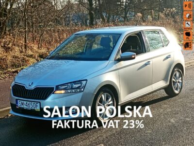 Škoda Fabia krajowa *ładny stan* III (2014-)