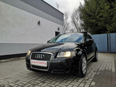 Audi A3 Sportback 1.9 TDI 105KM Klimatronik Elektryka Isofix Alu Felgi 16" 8P (2003-2012)
